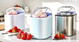 affordable ice cream maker options