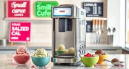 small business ice cream equipment