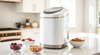 small space efficient ice cream makers