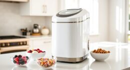 small space efficient ice cream makers