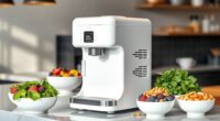 vegan ice cream equipment