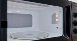 microwave radiation safety standards