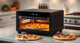 top indoor pizza ovens