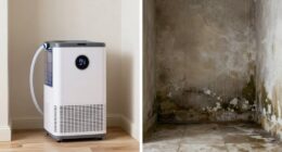 basement dehumidifier pump choice