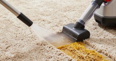 carpet cleaning equipment comparison