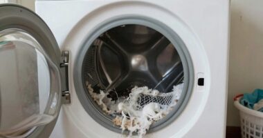 clean dryer vent regularly