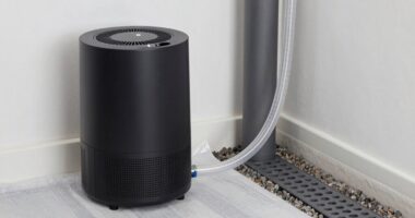 crawl space drain setup