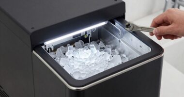 ice maker troubleshooting tips