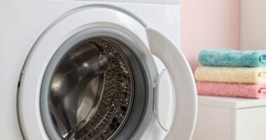 mildew odor removal quick