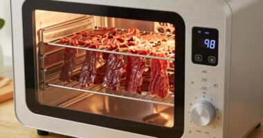 proper temperature for jerky