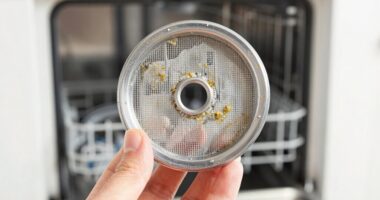 quick dishwasher filter cleaning