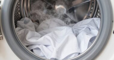 steam s wrinkle removal effect