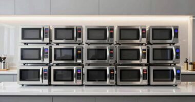 top 15 commercial microwave ovens