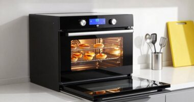 top 15 convection ovens