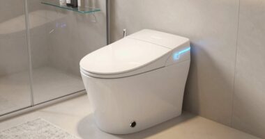 top bidet toilet combos