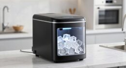 top clear ice makers