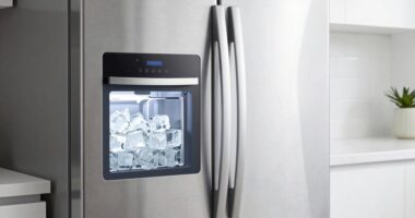 top dual ice maker refrigerators