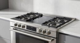 top electric ranges with steam