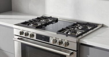 top electric ranges with steam