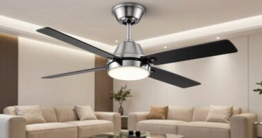 top smart ceiling fans