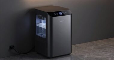 top smart dehumidifier picks