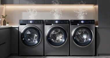 top steam electric dryers