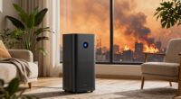 top wildfire air purifiers