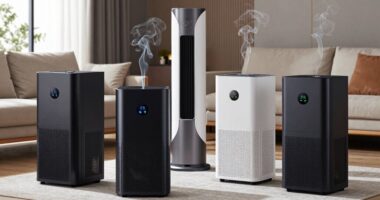 top wildfire smoke purifiers