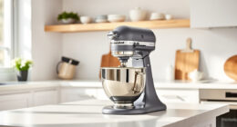 How to Clean a KitchenAid Professional 600 Mixer Safely and Effectively