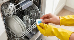 9 Best Dishwasher Cleaners for a Fresher, Cleaner Machine in 2026