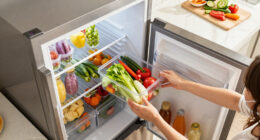15 Best Smart Refrigerator Organizers for a Tidy Fridge in 2027